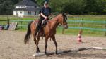 Een betere relatie met je paard? Kan ik je he